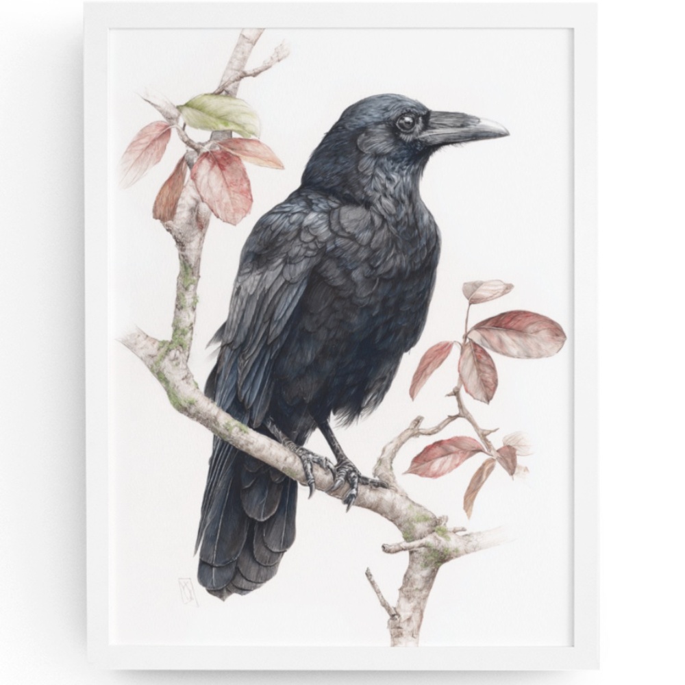 Watercolor Black Crow Wall Art Print Unframed - Black Bird Illustration Artwork